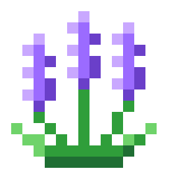 Lavender