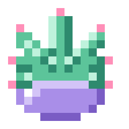 Succulent