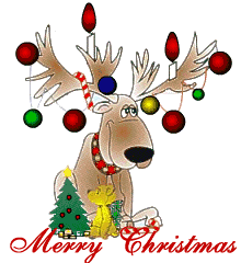 A reindeer with baubles on its antlers, and Merry Christmas