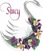 Stacy