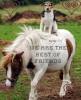 Best of Friends