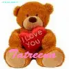 tatreena 