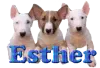 Esther