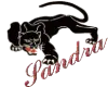 Sandra