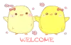 welcome