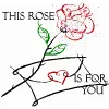 Rose for you