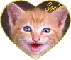 Sonia