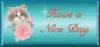 have a nice day