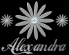 Alexandra