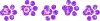 Sonia - paw prints