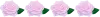 line with roses