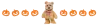 teddy bear dog