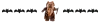 ewok dog