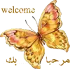 welcome