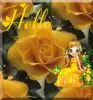 hello