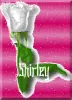 Shirley