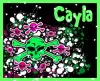 Cayla Skull Graphic