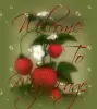Welcome to my page