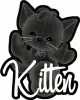 Kitten