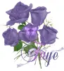 Faye