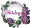 Shirley