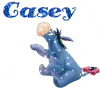 Casey
