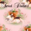 sweet dreams