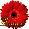 tonya