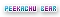 peekachu bear