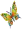 Rainbow Butterfly