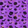 pumpkins, bats and spiders