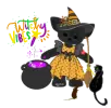 witch cat