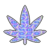 Weed