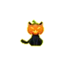 pumpkin head cat
