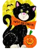 black cat