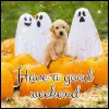 have a good weekend
