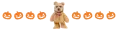 teddy bear dog