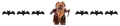 ewok dog