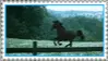 horse galloping