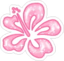 Pink hibiscus