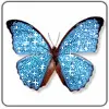 Blu butterflah