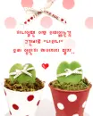cute kawaii heart cactus love