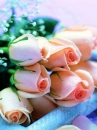 love flowers