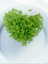 love flowers
