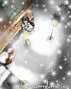 winter snow