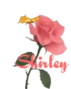 Shirley