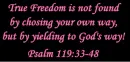 Psalm 119:33-48