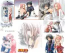 Sakura and Saskue. 