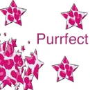 Purrfect
