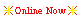 online icon